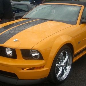 Meet your Posher, Frank